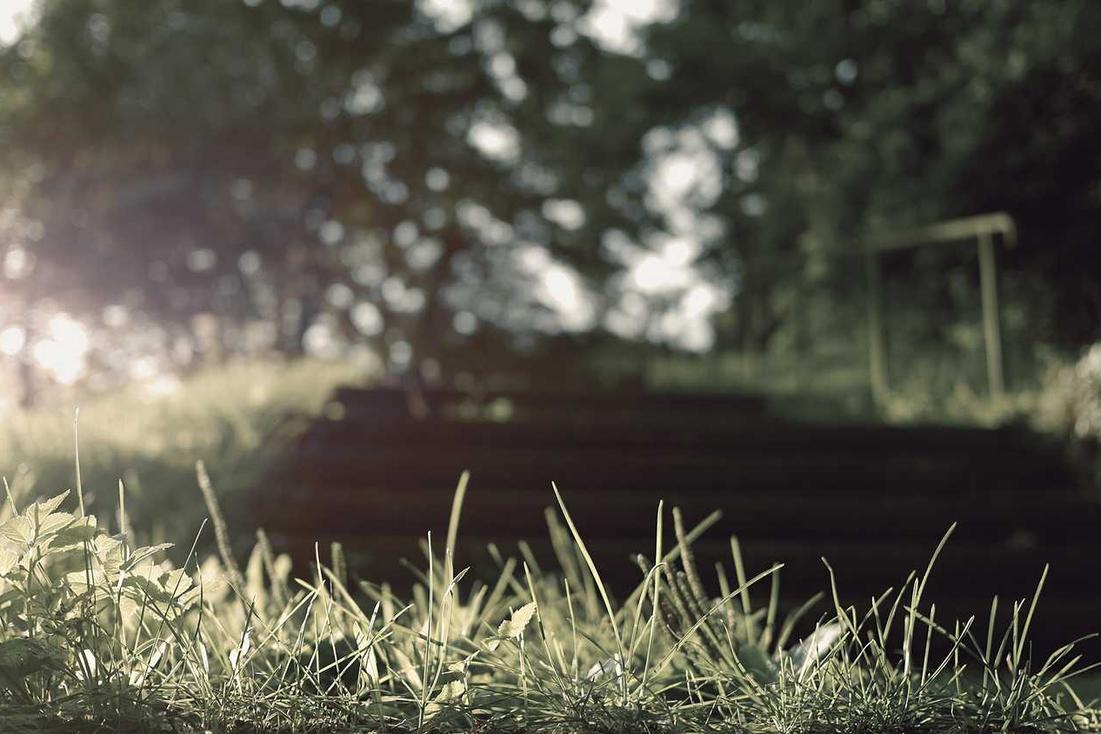 Rerum error dolores vero alias