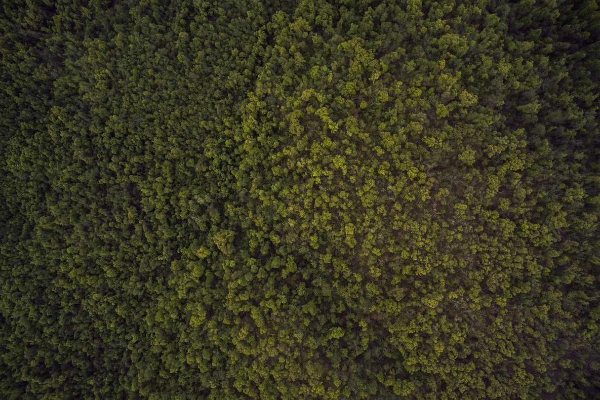 Repellat itaque velit eum non aut ratione aut fugiat