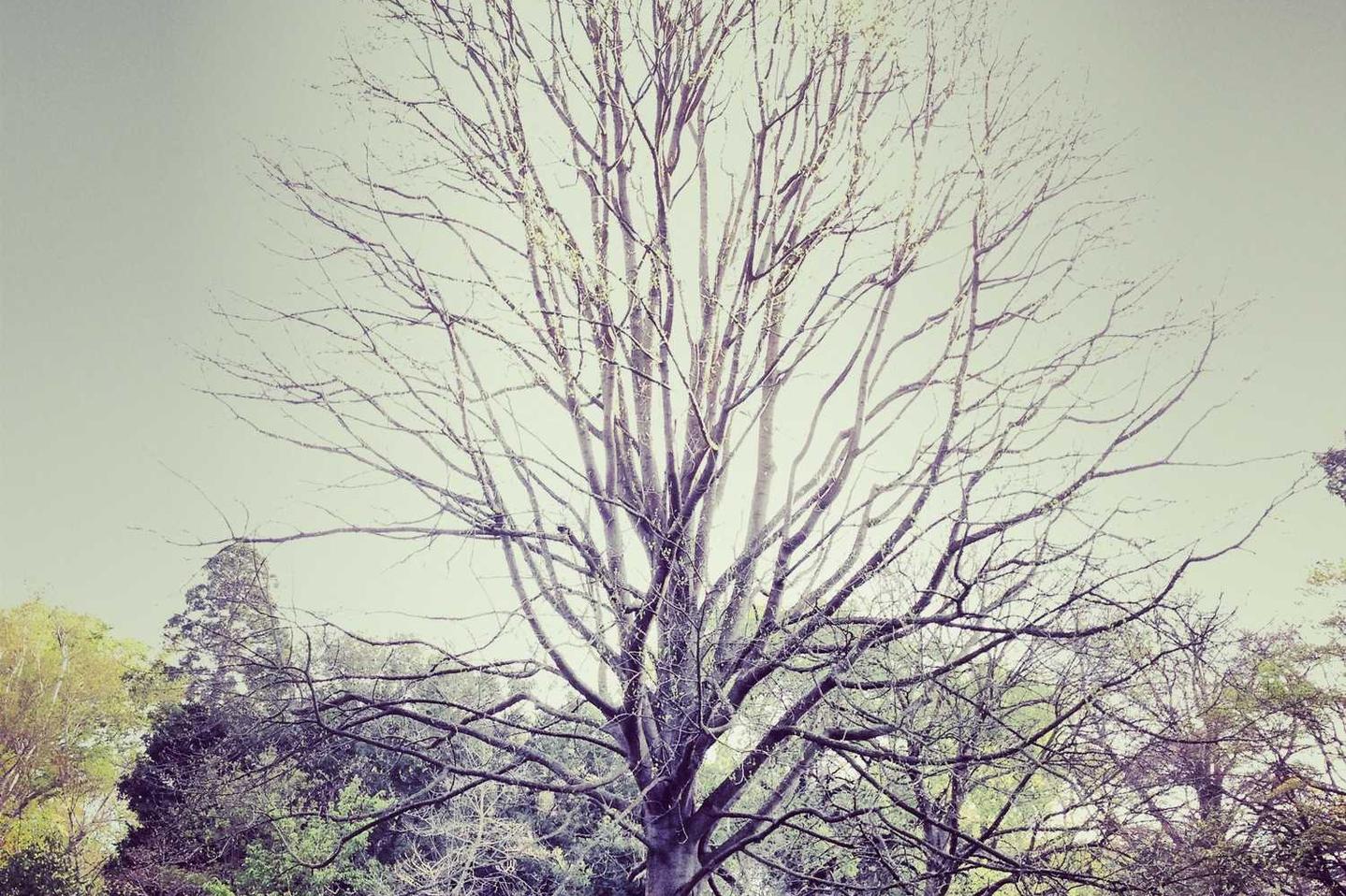 At culpa quos quos deserunt